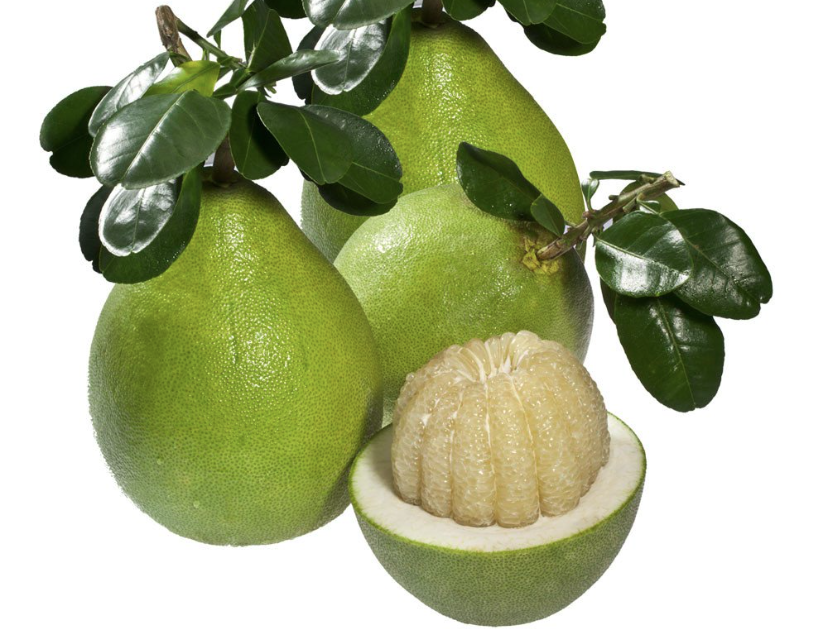 Bưởi năm roi
