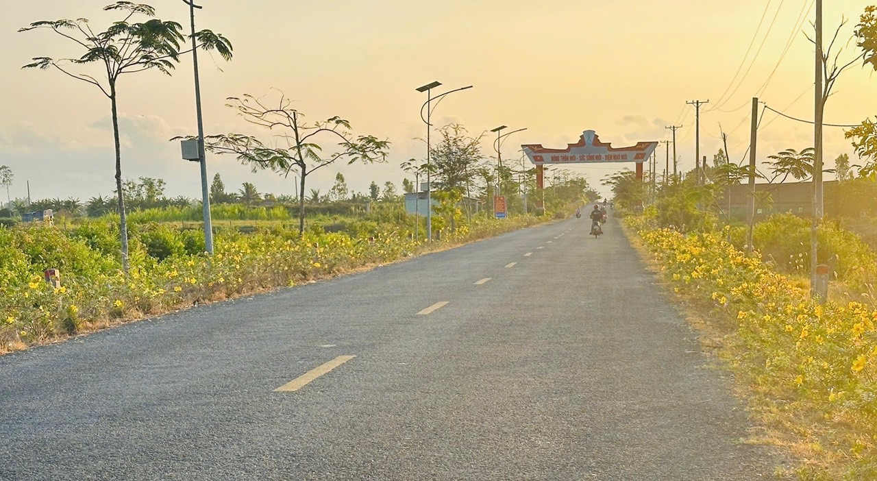 Những Cung Đường Hoa Đẹp Ở Sóc Trăng