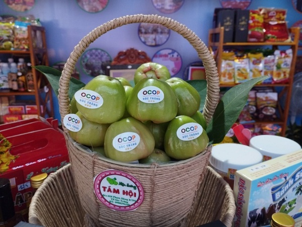 MẬN ĐƯỜNG TÁM HỘI - SẢN PHẨM OCOP ĐẶC TRƯNG CỦA ĐỊA PHƯƠNG